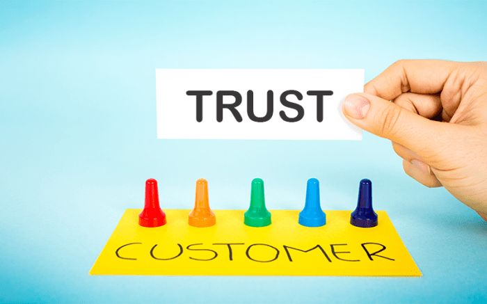 Building Customer Trust Online