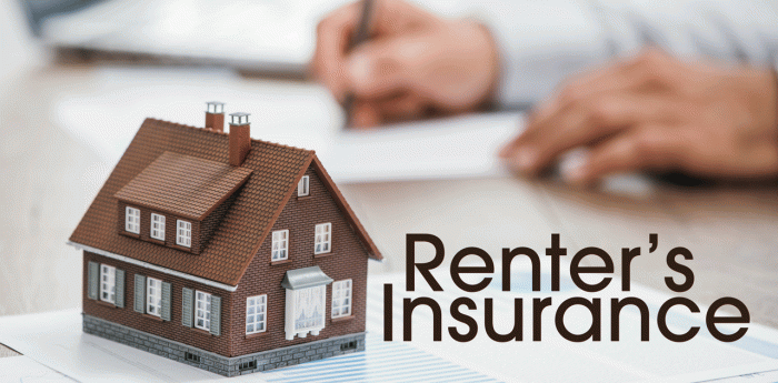 Renter’s insurance options